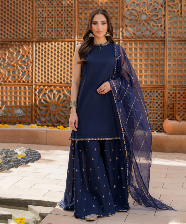 Dhanak -3PC Embroidered Shirt With Organza Embroidered Dupatta-3354