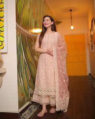 Dhanak-3PC Embroidered With Organza Embroidered Dupatta-3116