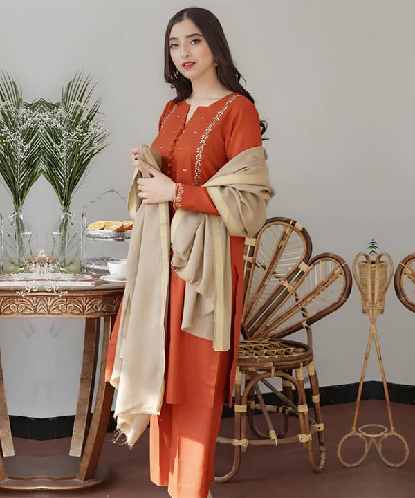 AISLING Dhanak 3PC Embroidered With Wool Shawl-1291